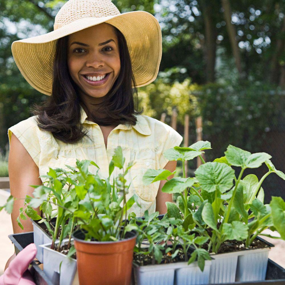 Lady holding a box of assorted plants. 